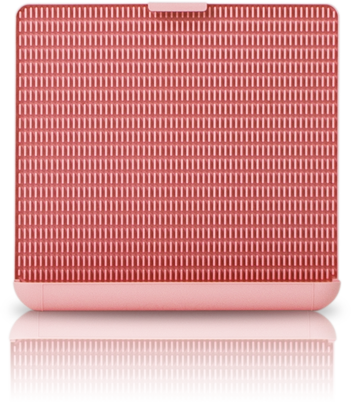 ถาดรองฉี่สุนัข "DOGTOC" เก็บกลิ่น ไม่ง้อแผ่นฉี่ ขนาดกลาง (ขนาด M)