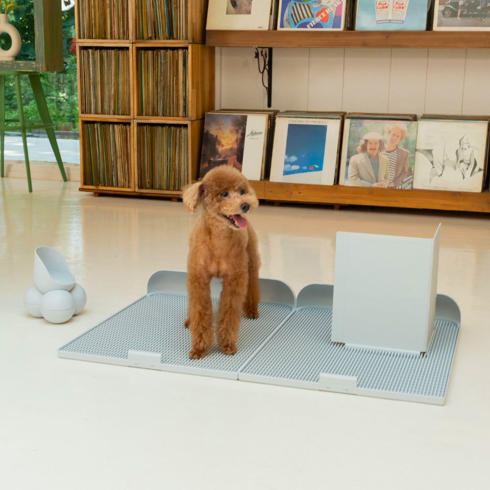 ถาดรองฉี่สุนัข "DOGTOC" เก็บกลิ่น ไม่ง้อแผ่นฉี่ ขนาดใหญ่ (ขนาด L)