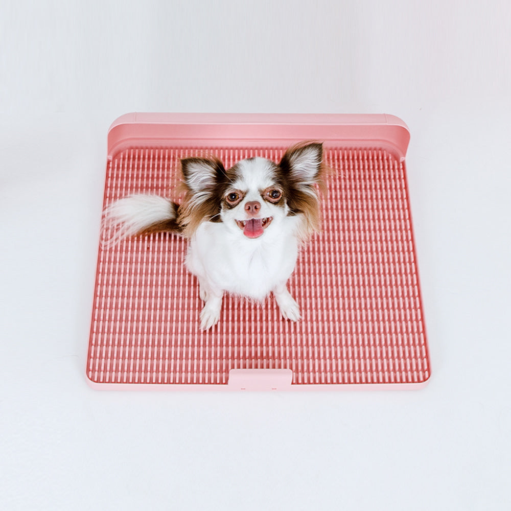 ถาดรองฉี่สุนัข "DOGTOC" เก็บกลิ่น ไม่ง้อแผ่นฉี่ ขนาดกลาง (ขนาด M)