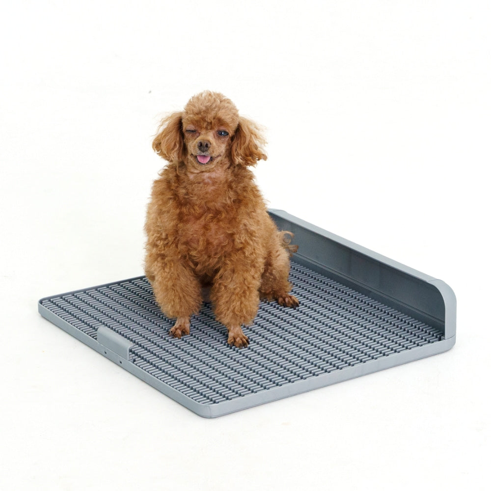 ถาดรองฉี่สุนัข "DOGTOC" เก็บกลิ่น ไม่ง้อแผ่นฉี่ ขนาดกลาง (ขนาด M)