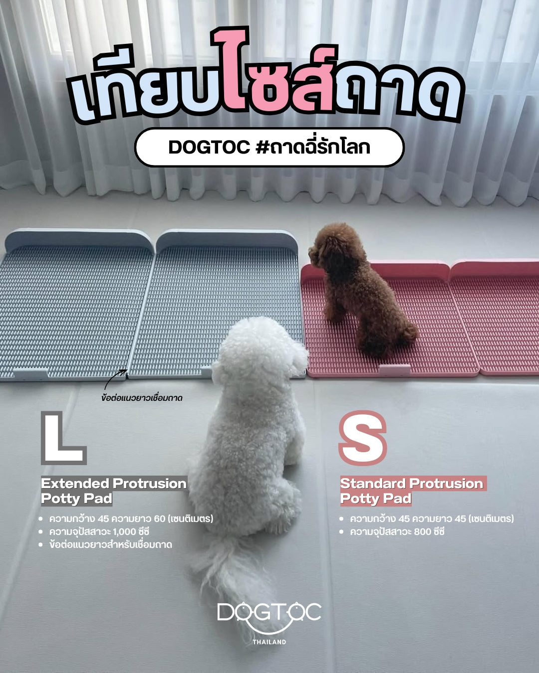 เลือกขนาดถาดฉี่ DOGTOC ให้เหมาะกับสุนัข