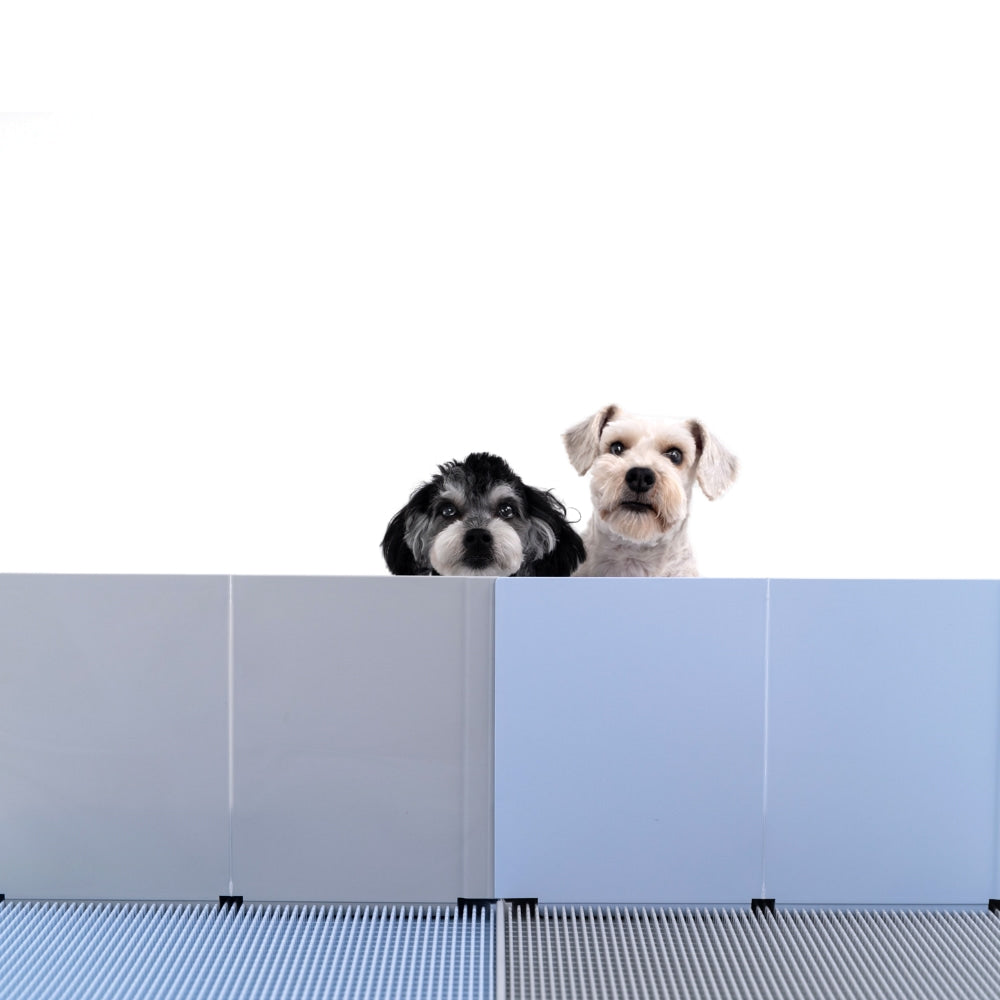 ฉากกั้น "DOGTOC" สำหรับสุนัขยกขาฉี่