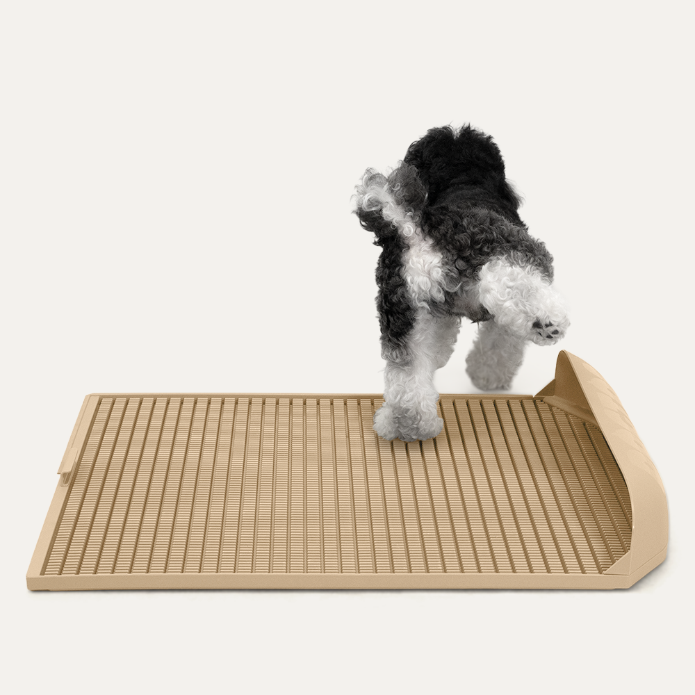 Protrusion Pad (Size XL)