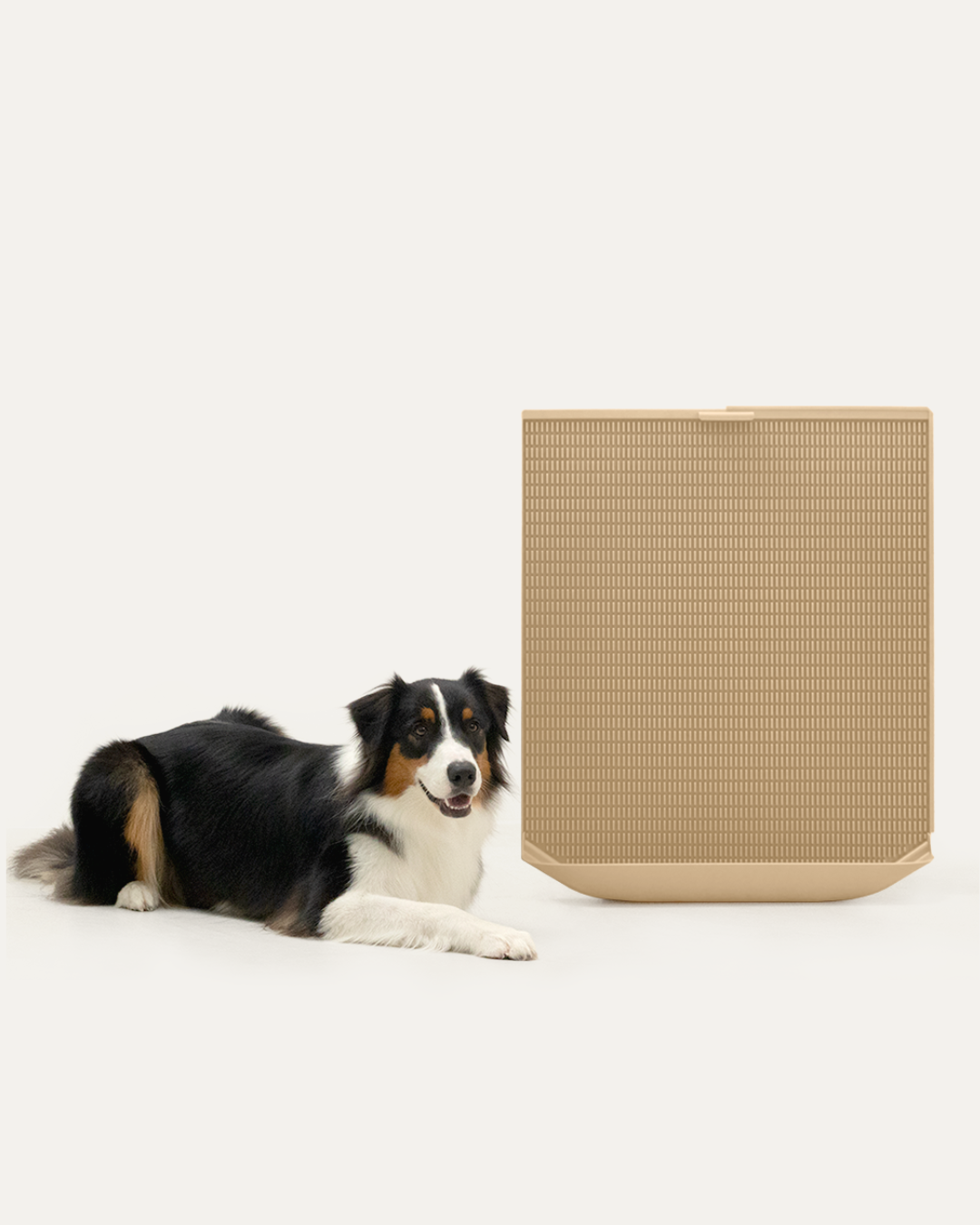 Protrusion Pad (Size XL)