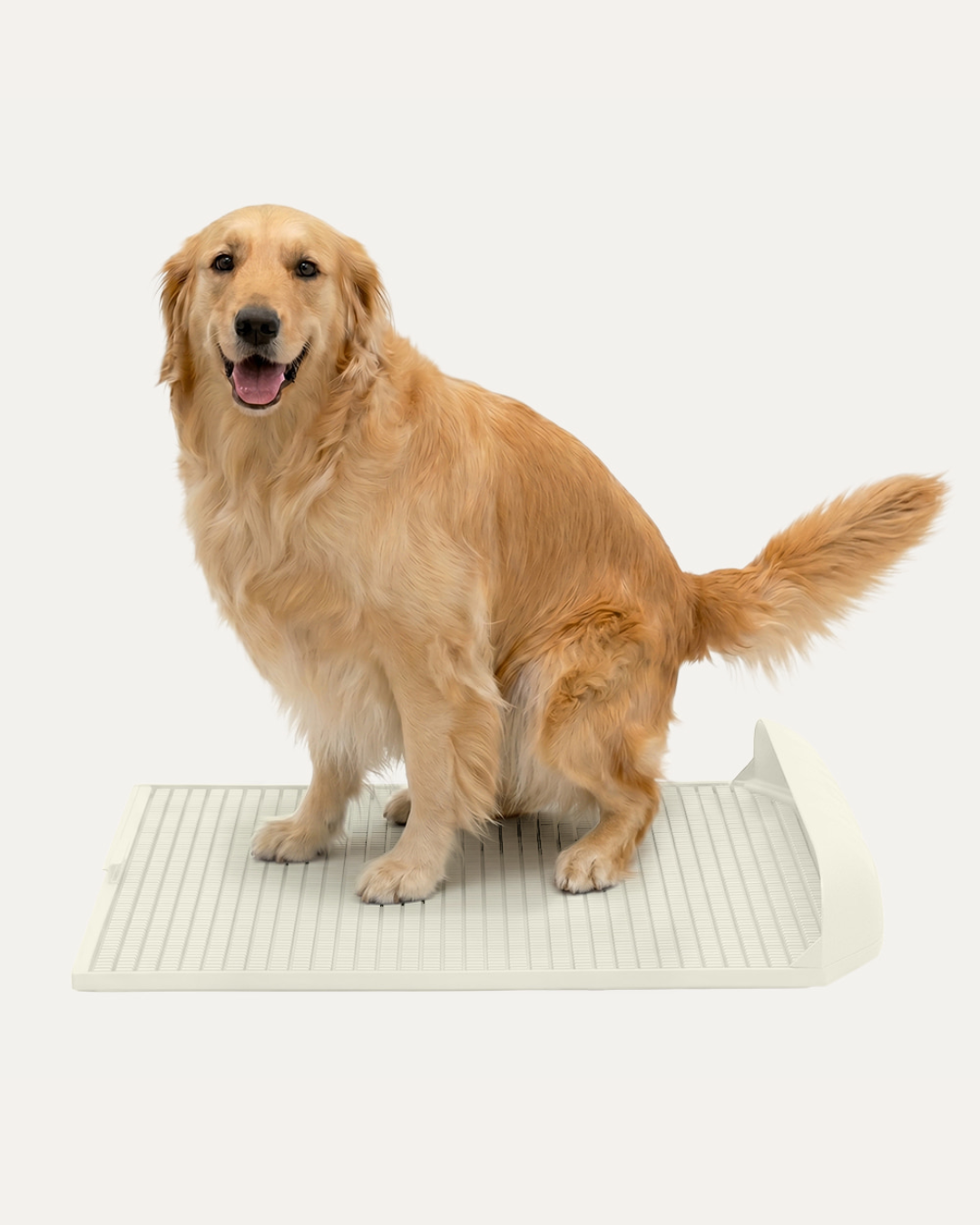 Protrusion Pad (Size XL)