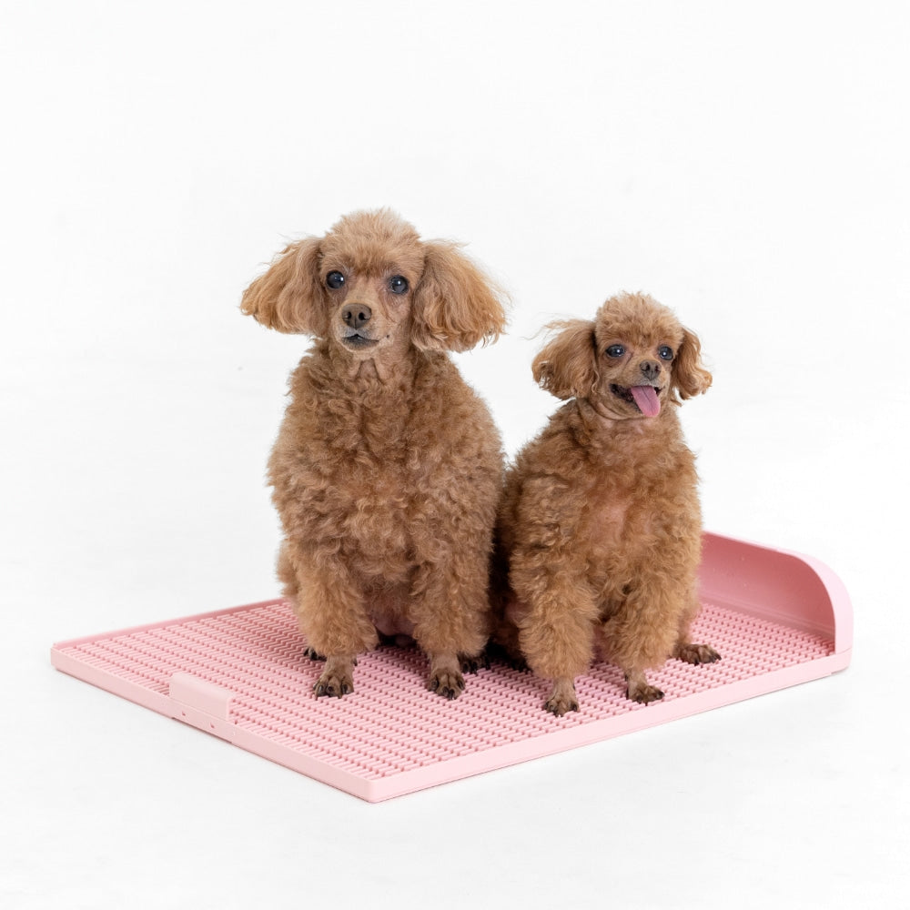 ถาดรองฉี่สุนัข "DOGTOC" เก็บกลิ่น ไม่ง้อแผ่นฉี่ ขนาดใหญ่ (ขนาด L)