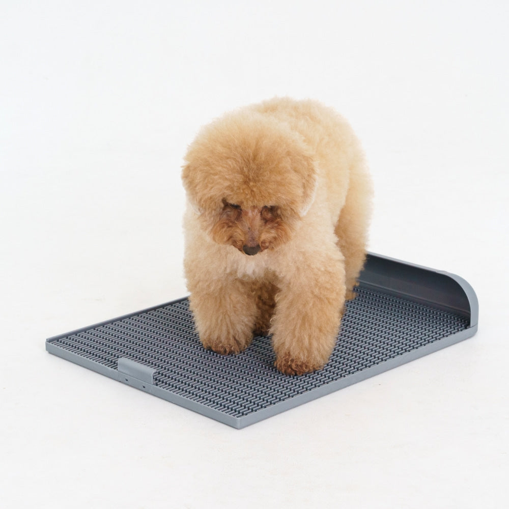 ถาดรองฉี่สุนัข "DOGTOC" เก็บกลิ่น ไม่ง้อแผ่นฉี่ ขนาดใหญ่ (ขนาด L)