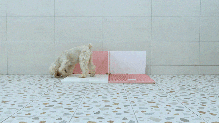 Marking Guard – DOGTOC Thailand