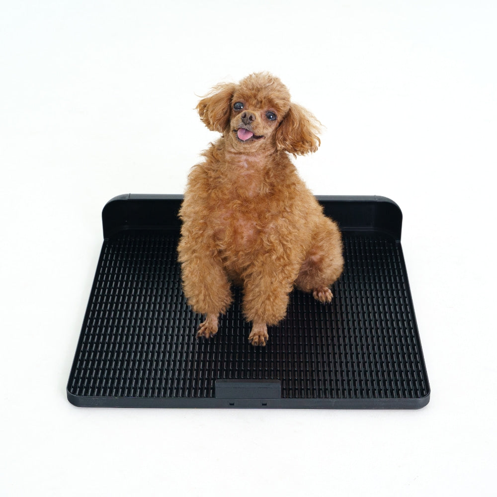 ถาดรองฉี่สุนัข "DOGTOC" เก็บกลิ่น ไม่ง้อแผ่นฉี่ ขนาดเล็ก (ขนาด S)