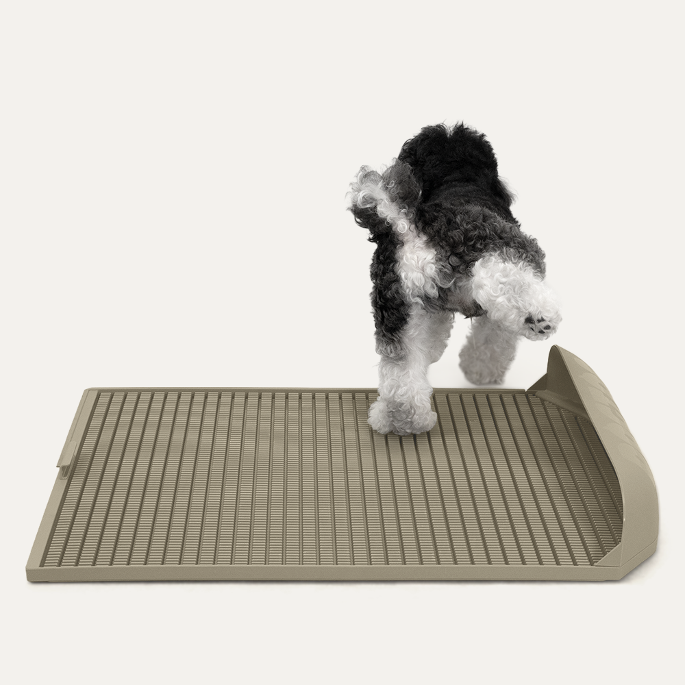 Protrusion Pad (Size XL)